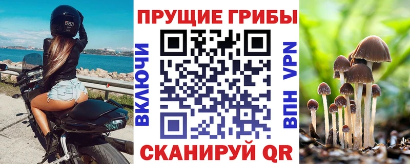 Галлюциногенные грибы GOLDEN TEACHER Камышин