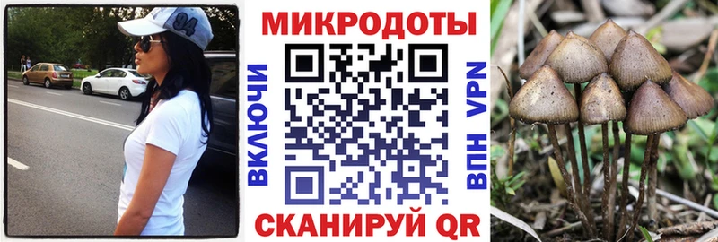 Галлюциногенные грибы Cubensis  Камышин 