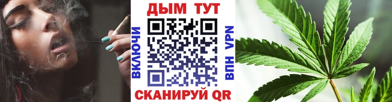 Конопля гибрид Камышин